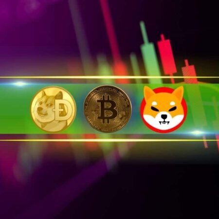 Bitcoin Jumps Past $65K, Shiba Inu and Dogecoin Soar by 25% Daily (Market Watch)